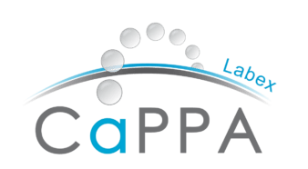Image CaPPA