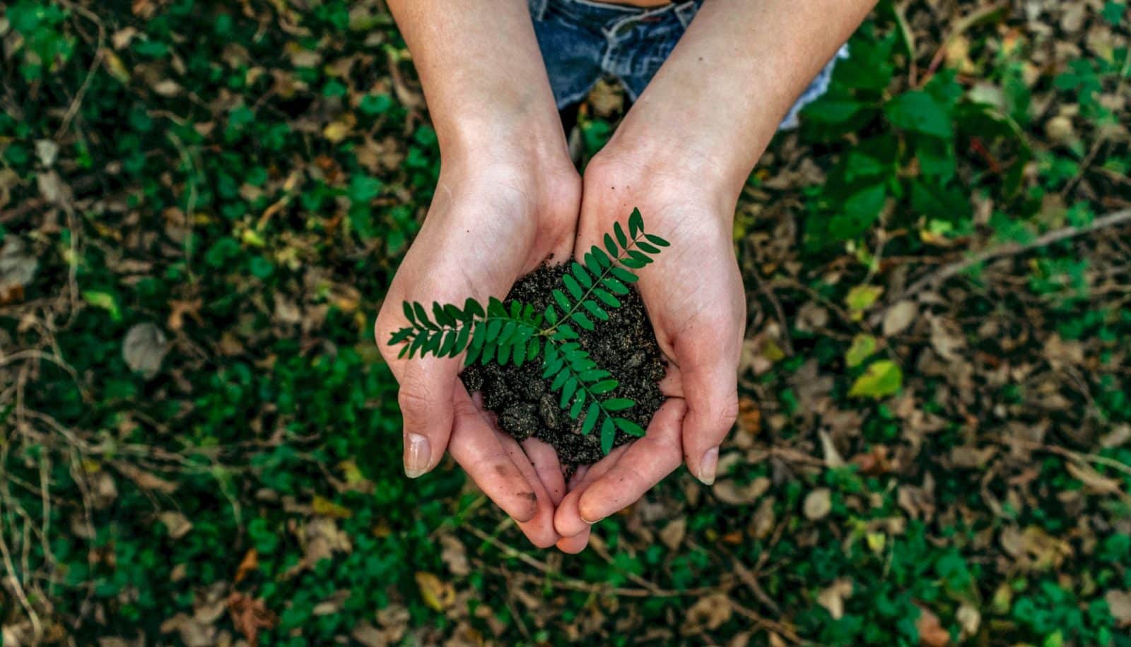 IMT Nord Europe contribue à l’organisation du congrès SFIP ‘’Plasturgie du Futur’’