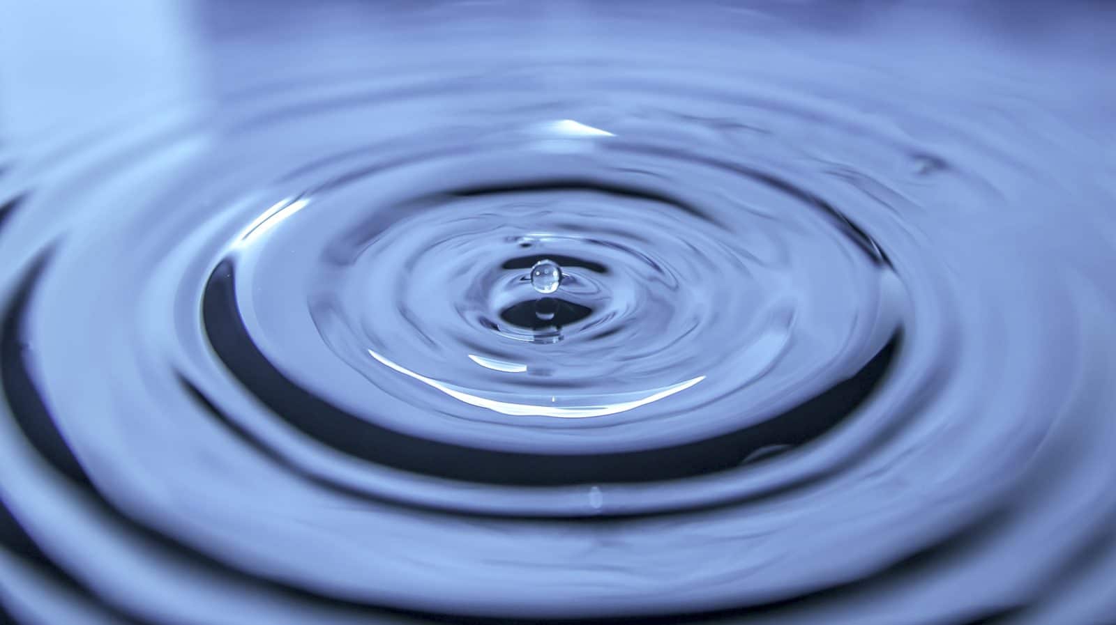 CMWRS 2025 : un workshop international dédié à la gestion de la ressource en eau
